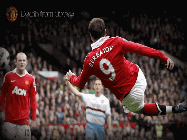 vshop782719591-1475196019321-523b8-s1.jpg